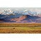 Scenic View Of The Alaska Range Along The Maclaren River Valley With A Moose In The Foreground Southcentral Alaska Aut 1